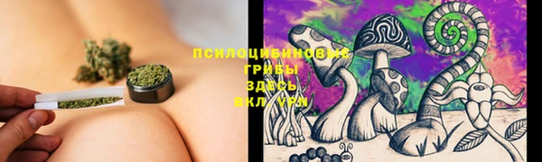 ГАЛЛЮЦИНОГЕННЫЕ ГРИБЫ Алзамай