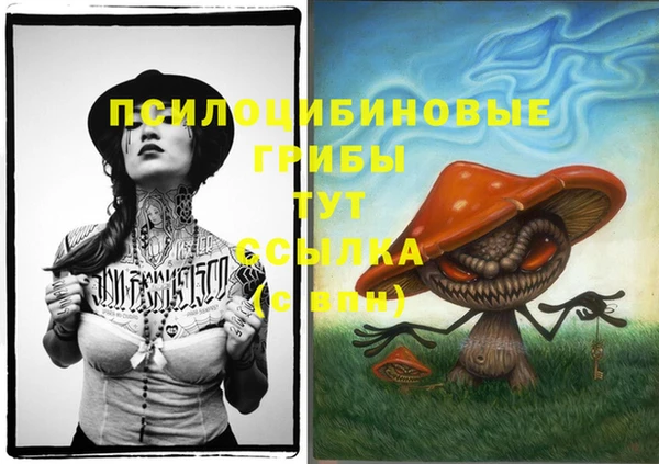 ГАЛЛЮЦИНОГЕННЫЕ ГРИБЫ Алзамай
