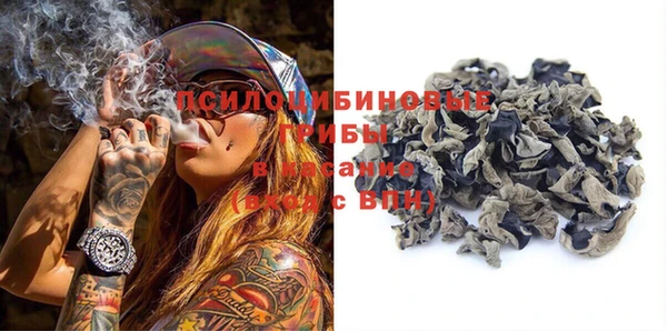 ГАЛЛЮЦИНОГЕННЫЕ ГРИБЫ Алзамай