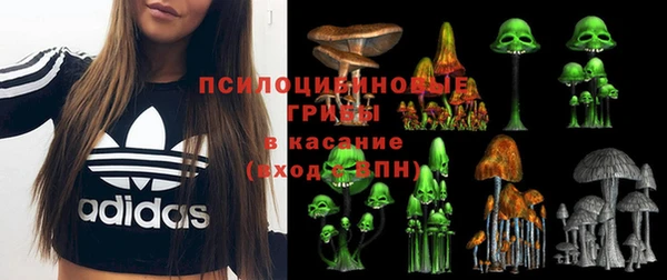 ГАЛЛЮЦИНОГЕННЫЕ ГРИБЫ Алзамай