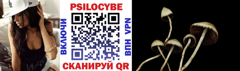 Псилоцибиновые грибы ЛСД  Шадринск 