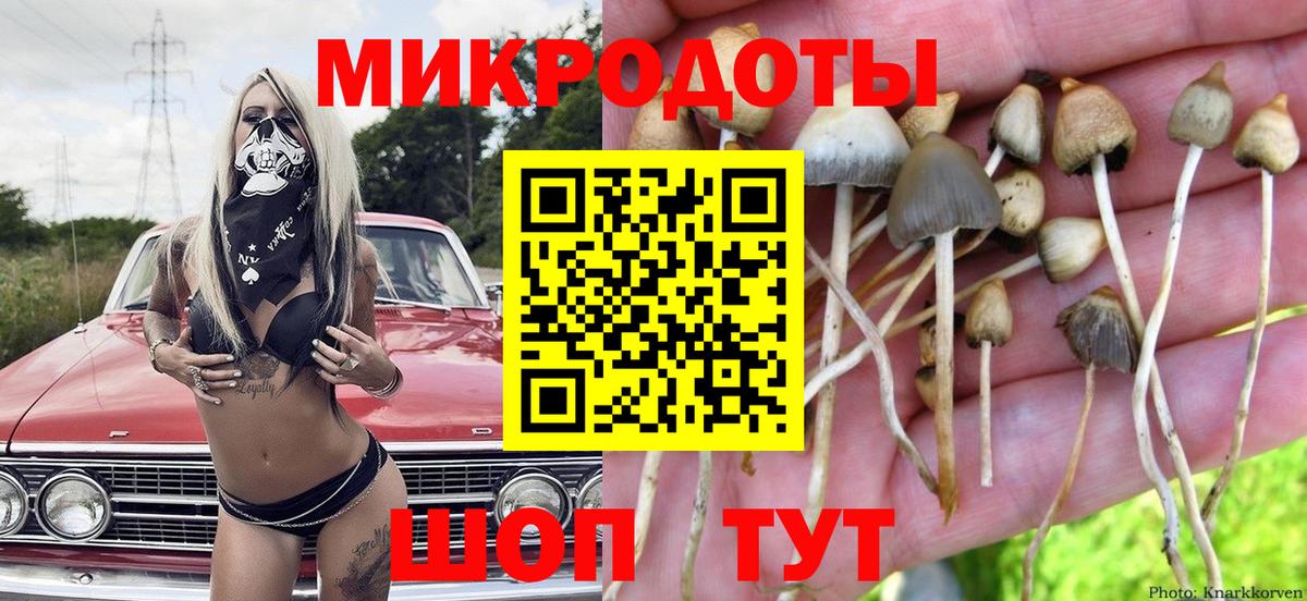Галлюциногенные грибы MAGIC MUSHROOMS  хочу наркоту  Шадринск  Вход с VPN  Галлюциногенные грибы Psilocybine cubensis 